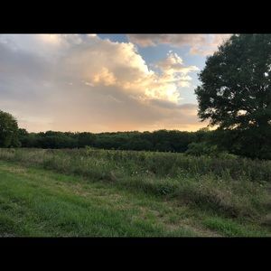 Meet your Posher, Sydney